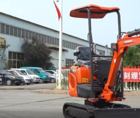 Rhinoceros XN10-8
