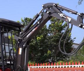 Rhinoceros XN17